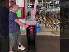 HCW Parkplatz Schranke 24V DC Bürstenloser Motor Mechanismus für Smart Gate Sicherheit